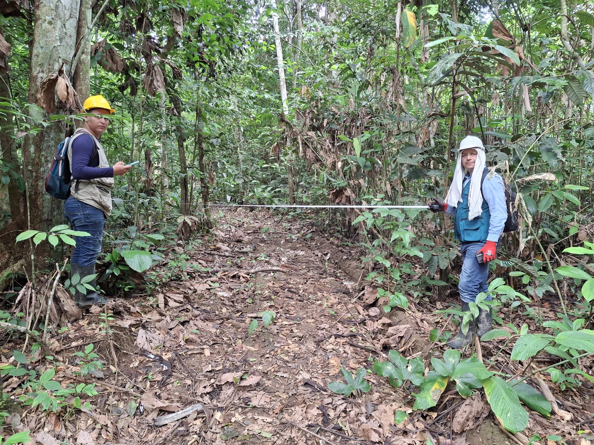 Dos técnicos tienden una cinta métrica en el bosque durante el censo forestal